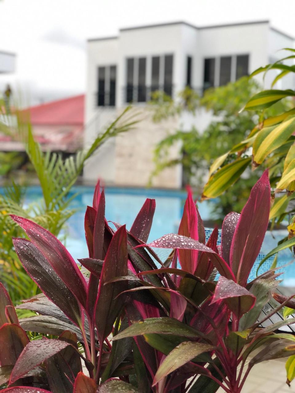 Tucan Resort & Spa Paramaribo Luaran gambar